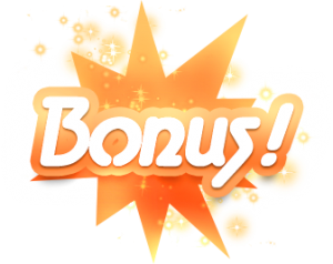 Wat is een bonus